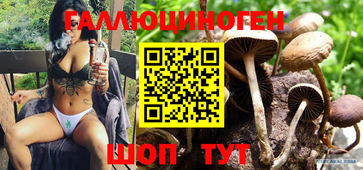 Биробиджан  Псилоцибиновые грибы Magic Shrooms  Вход с VPN 